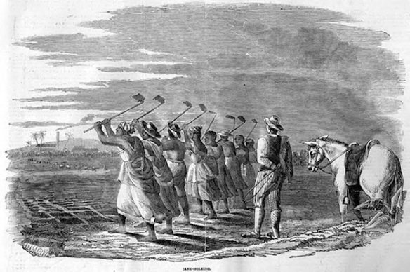 Slaves working in the field in Jamaica: Early 19th-century print